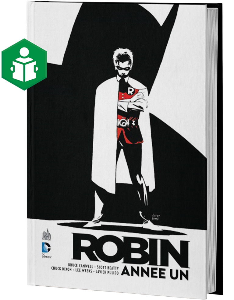 Jeune acrobate de cirque, Dick Grayson a vu ses parents abattus lors d'une représentation à Gotham City. Recueilli par le milliardaire Bruce Wayne, Dick perce le secret de sa double identité et devient Robin, le jeune prodige. Mais ses premiers pas en tant qu'assistant de Batman ne seront pas de tout repos.