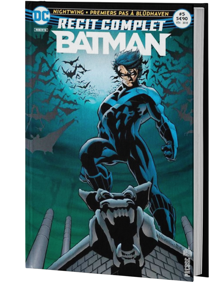 Celui qui fut le premier Robin officie désormais sous le nom de Nightwing. S'installant à Blüdhaven, Dick Grayson met en pratique l'enseignement de Batman et fait régner la justice sur la ville portuaire sans se démunir de son sourire. Seul ou aux côtés de Robin, alias Tim Drake, il affronte de nouveaux ennemis, tels que Lady Vic ou Blockbuster.