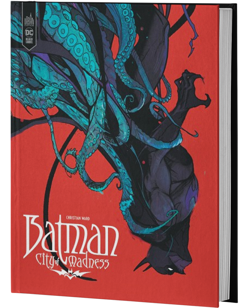 BATMAN : CITY OF MADNESS