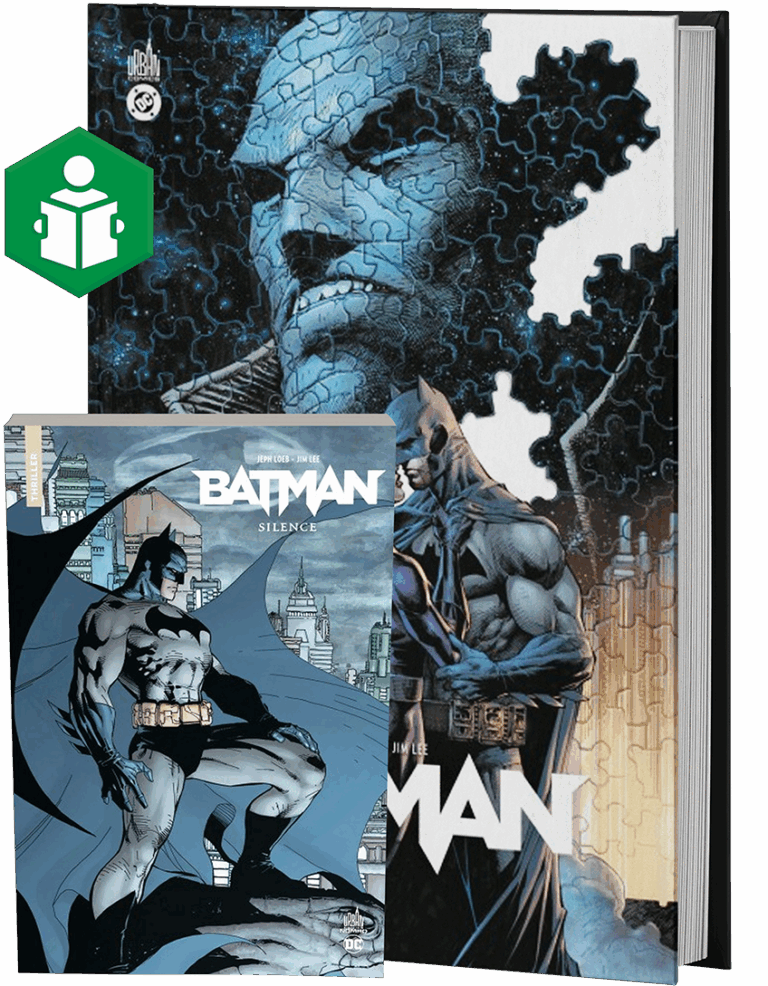 Batman se retrouve assailli par tous ses ennemis, lorsqu'un mystérieux personnage qui dissimule son visage sous des bandelettes apparaît. Son nom ? Silence. Son but ? Harceler le justicier jusqu'à lui faire perdre raison. Catwoman saura-t-elle lui apporter l'aide et le réconfort dont il a cruellement besoin ?